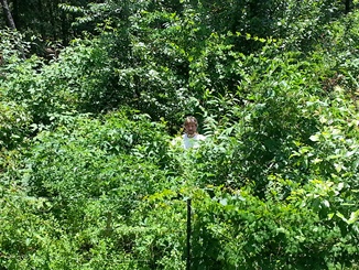 Rick in Secret Garden of Survival 2a